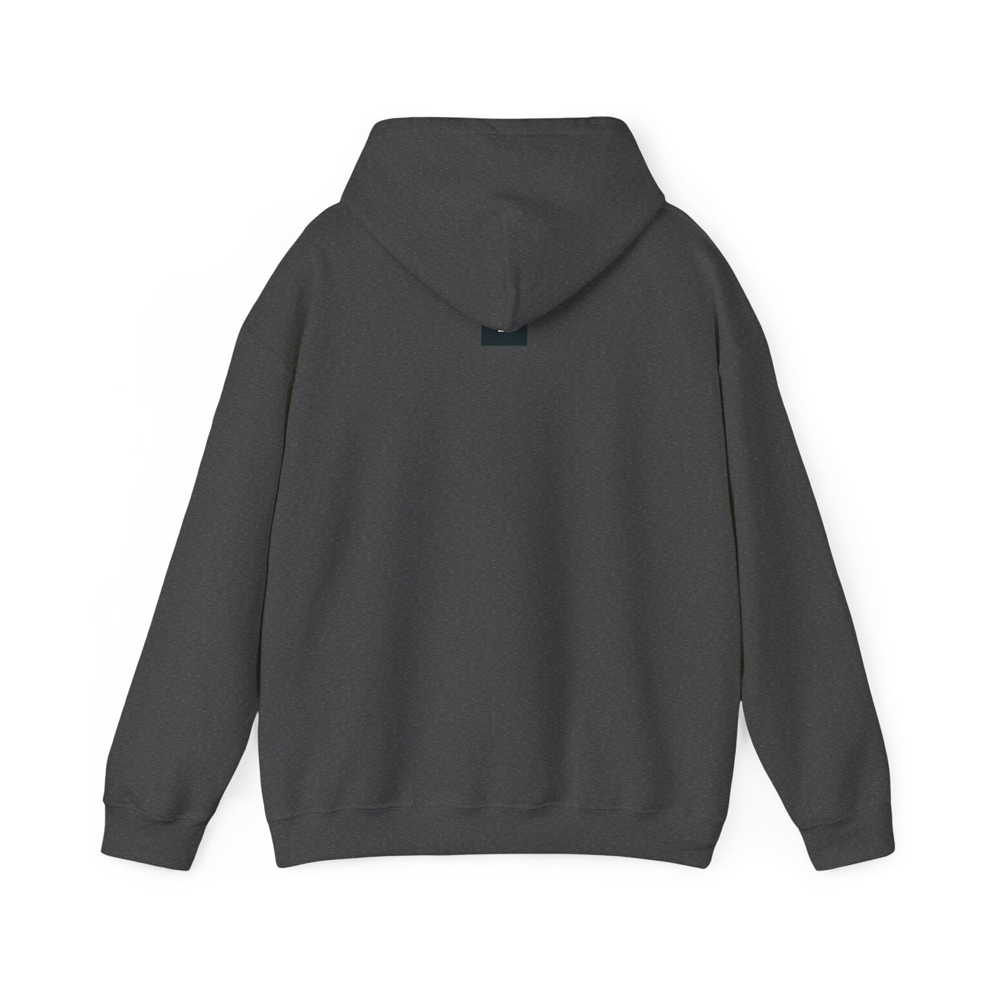 5FISH 5 ² ALT Unisex Heavy Blend™ Hooded Sweatshirt - gottogetit prod.