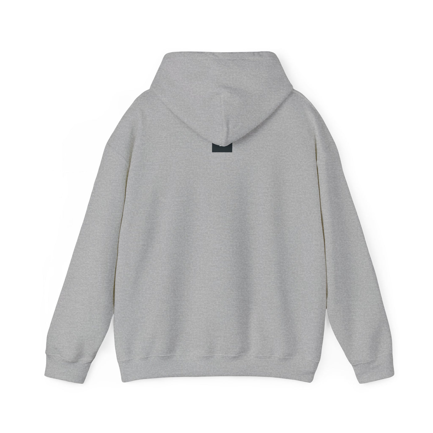 5FISH 5 ² ALT Unisex Heavy Blend™ Hooded Sweatshirt - gottogetit prod.