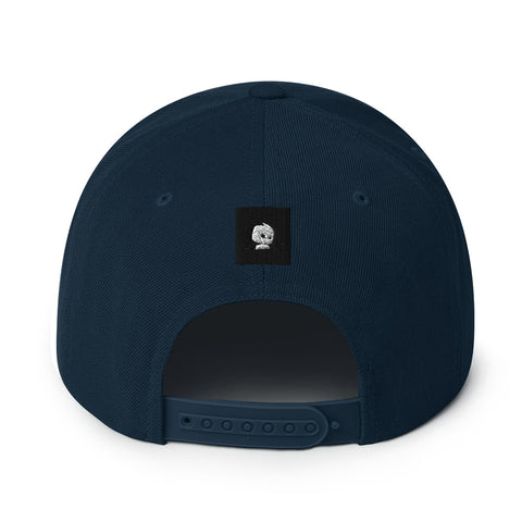 growth b Snapback Hat